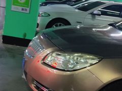 -春满园·早茶·粤菜·宴会(前海店)