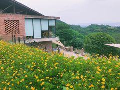 -远山有窑