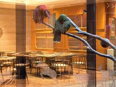 -麒麟中餐厅·经典粤菜·地道菜式老字号(广州长隆酒店)