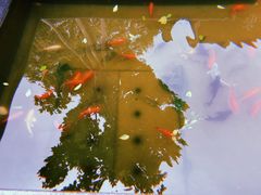 -老北京风情街