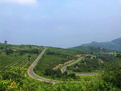 -阳台山自然风景区