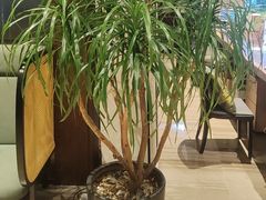 -久宴·天目湖大鱼头(恐龙园店)