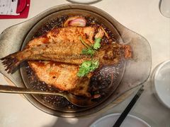 -PO PARK东方宝泰