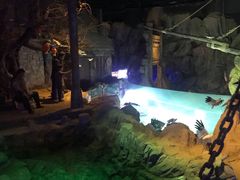 -威海华夏城景区