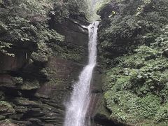 -碧峰峡风景区