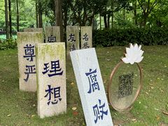 -陈家山荷花公园