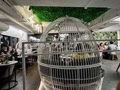 -Oasis Bar & Grill