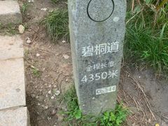 -梧桐山风景名胜区