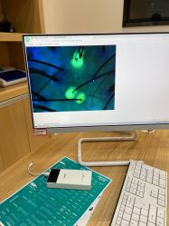 -雍禾植发全国连锁