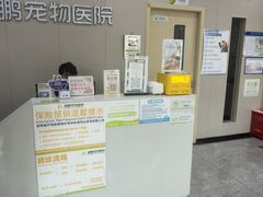 -瑞鹏宠物医院·骨外科·心肾科·肿瘤科(九亭店)