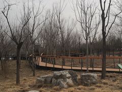 -东郊湿地公园