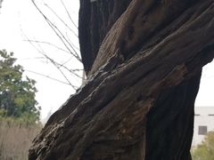 -郑和公园