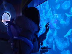 -烟台海昌鲸鲨海洋公园