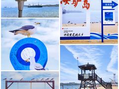 -海驴岛(荣成市)