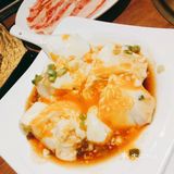 肉食动物必打卡