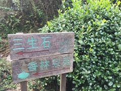 -杭州西湖风景名胜区-三生石