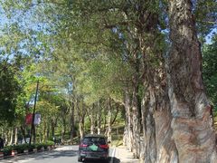 -广州市白云山风景名胜区