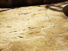 -延安杨家岭革命旧址