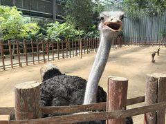 -呀路古热带植物园