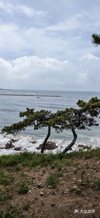 青岛第二海水浴场图片