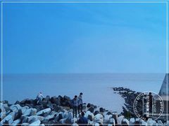 -南汇嘴观海公园