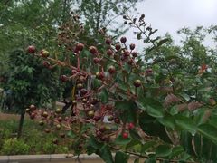 -青州市云门山风景区