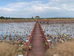 -漩门湾国家湿地公园