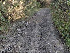 -樱桃山旅游景区