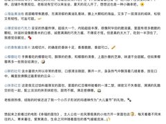 -风车面包