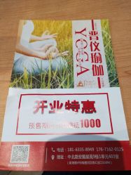 -晋仪瑜伽普拉提馆