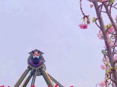 -观澜湖生态运动公社