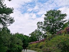 -白云山风景名胜区