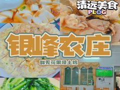 -银峰农庄·特色烧鸡·鲜无花果浸鸡