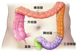 -金美秀瘦身养生