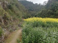 -新安江山水画廊风景区