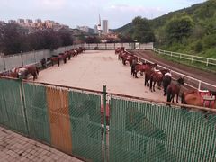 -鼎盛王朝康熙大典实景演出