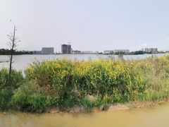 -立新湖公园