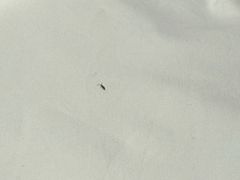 -九华山聚龙大酒店