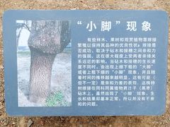 -国家植物园南园