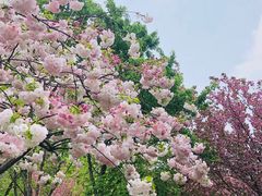 -江南大学(蠡湖校区)