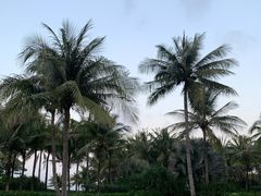 -三亚太阳湾柏悦酒店