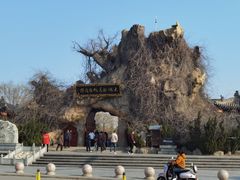 -大槐树寻根祭祖园