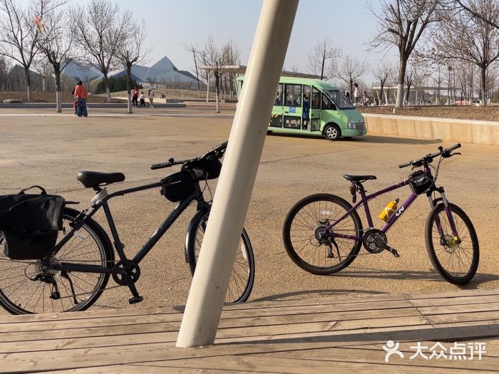东营园博园图片
