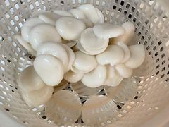 -共和老洪豆花草粿水粿