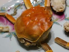 -新光酒家·河豚·海鲜·蟹料理(浦东店)