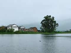 -大理洱源西湖景区