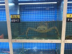 -金龙·打边炉(南京西路店)