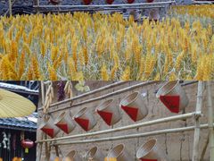 -初溪土楼群