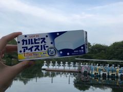 -井之头恩赐公园
