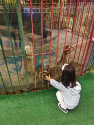 -萌宠亲子动物乐园(槐房万达店)